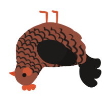 A russet and sable chicken with a lace pattern