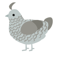 A silver and ash chicken with a lace pattern