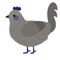 A ash and grey chicken with a double-lace pattern