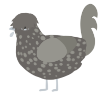 A grey and ash chicken with a speckle pattern