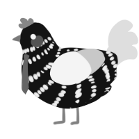 Enoch, a black and rose chicken with a bar pattern