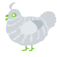 A mist chicken with a bar pattern