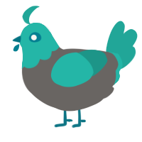 A grey and turquoise chicken with a head pattern