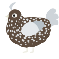 A bark and mist chicken with a speckle pattern
