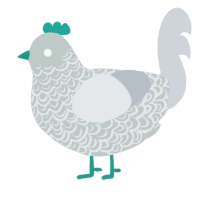 A silver and mist chicken with a double-lace pattern