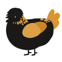 A sable and orange chicken with a neck-speckle pattern