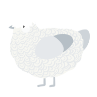 A white and mist chicken with a double-lace pattern