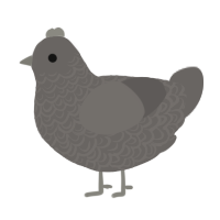 A grey chicken with a double-lace pattern