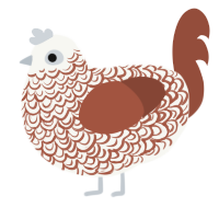 A white and russet chicken with a double-lace pattern