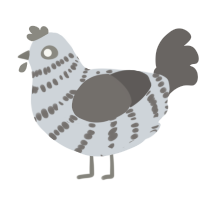 A mist and grey chicken with a bar pattern