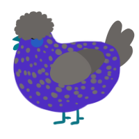 A indigo and grey chicken with a speckle pattern