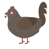 A grey and bark chicken with a double-lace pattern