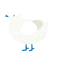 A white chicken with a lace pattern