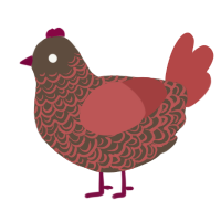 A bark and red chicken with a double-lace pattern
