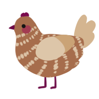 A brown and beige chicken with a bar pattern