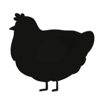 Headtrip, a black chicken
