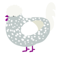 Moon Rock, a silver and white chicken with a speckle pattern