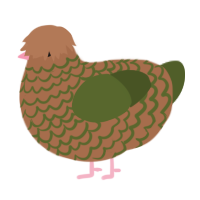 A brown and olive chicken with a lace pattern