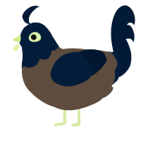 A bark and tumblr chicken with a head pattern
