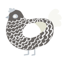 A grey and white chicken with a lace pattern