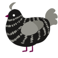 A sable and ash chicken with a bar pattern