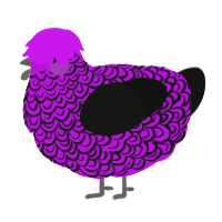 A amethyst and black chicken with a double-lace pattern