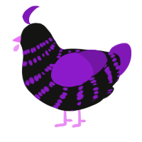 A black and violet chicken with a bar pattern