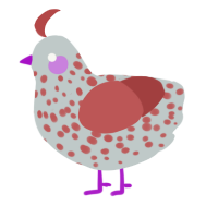 Swirly, a silver and red chicken with a speckle pattern