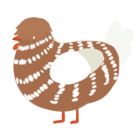 A brown and white chicken with a bar pattern