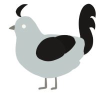 Professor Membrane, a silver and sable chicken