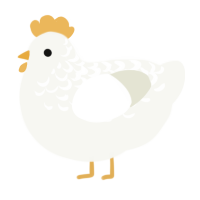 Angel, a white chicken with a half-lace pattern
