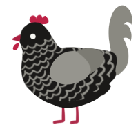 A sable and ash chicken with a lace pattern