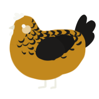 A ochre and sable chicken with a half-lace pattern