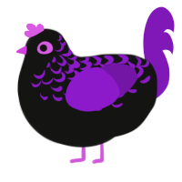 choth, a black and violet chicken with a half-lace pattern