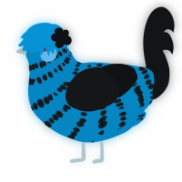 A cerulean and sable chicken with a bar pattern