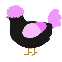 A sable and lavender chicken