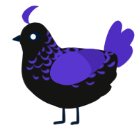 A black and indigo chicken with a half-lace pattern
