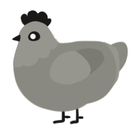 A ash chicken with a head pattern