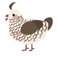 A cream and bark chicken with a lace pattern