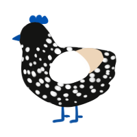 Petunia, a black and cream chicken with a speckle pattern