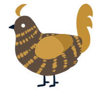 A bark and gold chicken with a bar pattern