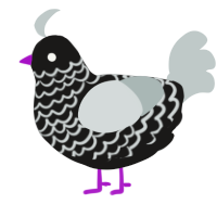 Fuiro, a sable and silver chicken with a lace pattern