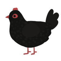 Mars, a black and sable chicken with a speckle pattern