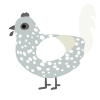 Sodium, a silver and white chicken with a speckle pattern