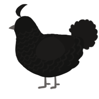 A black and sable chicken with a lace pattern
