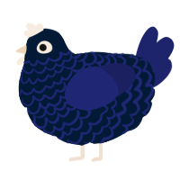 A tumblr and navy chicken with a lace pattern