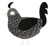 A grey and black chicken with a lace pattern