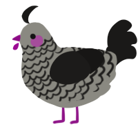 A ash and sable chicken with a lace pattern