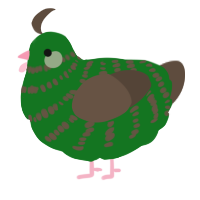 A leaf and bark chicken with a bar pattern
