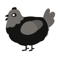 A black and grey chicken with a head pattern